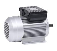 vidaXL Moteur électrique monophasé en aluminium 2,2 kW (3 CV) 2 pôles 2800 tr/min