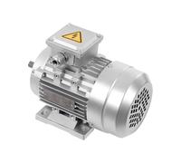 Moteur triphasé 550 W, moteur asynchrone triphasé, diamètre de l'arbre 14 mm, 1395 tr/min, pied B3, IP55 isolation F, moteur triphasé pour machines et installations industrielles