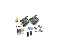 Motorisation portail 2 battants FROG Moteur 230V CAME 8K01MI-005