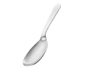 Motta Stainless Steel Serving Spoon by