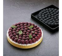 Moule en silicone supérieur Framboise Raven TOP24 Pavoni