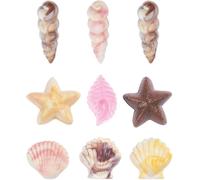 Moules en 3D en forme de coquillages | Moules à chocolat pour réaliser des formes de coquillages, adaptés pour les bonbons enrobés, le chocolat, les confiseries et la décoration de gâteaux, réutilisab