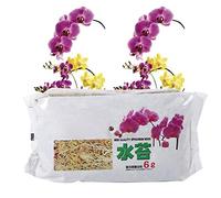 Mousse de Sphaigne à Fibres Longues, Terreau de Rempotage en Mousse de Sphaigne Naturelle 6L pour Plantes Carnivores, Orchidée Phalaenopsis, Sarracenia, Succulentes, Pièges à Mouches de Vénus, Reptile