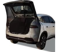 Moustiquaire de Hayon pour Renault Master 2010-2025