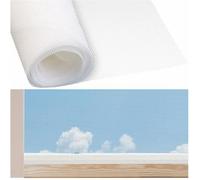 Infactory Moustiquaire en fibre de verre - 100 x 250 cm - Blanc