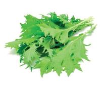 Moutarde en feuilles Click and Grow