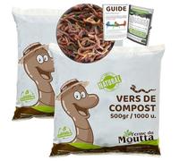 Moutta | 1 kg de vers de Compost | vers de Terre Vivants Eisenia, compostez Vos déchets organiques - pour lombricomposteur/composteur/Jardin/WormBox