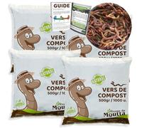 Moutta | 2kg de Vers de Compost | Vers de terre vivants Eisenia, introduisez/ajouter des vers dans votre jardin ou potager, reproduction très rapide