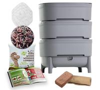 Moutta I WORMcube Gris Design & Compact I Lombricomposteur 3 Plateaux I 250gr de vers de Compost I Kit Complet I Filtre Anti-Noyade des vers