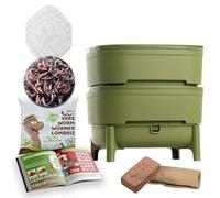 Moutta I WORMcube Vert Design & Compact I Lombricomposteur 2 Plateaux I 250gr de vers de Compost I Kit Complet I Filtre Anti-Noyade des vers