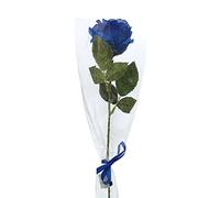 MOVAWAKY Rose Eternelle Fleur Eternel,LED Fleur Romances Femmes Fleurs PréServéEs Cadeau Anniversaire Maman EnchantéE Ornement Bureau | Rose Eternelle Cadeau Femme Anniversaire
