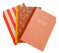 Mr Wonderful - Coffret de 3 carnets 19 x 25 cm - Carreaux, lignes et points - 80 pages chacun - Reliure cousue - Très attentif, très discret