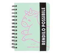 Mr.Wonderful - Petit journal scolaire Teen 2023-2024 Mint hebdomadaire - Rendez-le possible