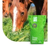 MRS Horse: Low Fructan mix - 2 kg pour 200 m² - Faible teneur en fructose - Tolérance élevée au piétinement - Très bon pouvoir réparateur