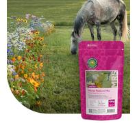 MRS Mélange de fleurs de prairie des chevaux - 5 kg pour 2.500 m² - Mélange de variétés de fleurs annuelles et vivaces - Très attractif pour les insectes pollinisateurs