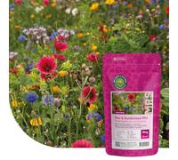 MRS Mélange de fleurs pour prairie d’abeilles - 250 g pour 125 m² - Graines de fleurs multicolores annuelles et vivaces - Source naturelle de nourriture pour abeilles, bourdons et papillons
