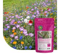 MRS Mélange de fleurs sauvages annuelles et vivaces - 250 g pour 125 m² - 62 variétés de fleurs multicolores riches en nectar - Attire abeilles et papillons