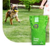 MRS Play & Sport: Gazon Sport et Jeux - 1 kg - 50 m² - Résistant au Piétinement - Qualité : Coupe du Monde - 90% de Germination - Convient à tous les types de sol