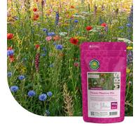MRS Prairie de fleurs sauvages avec graminées - 100 g pour 30 m² - Graines annuelles et vivaces - 60% d’herbes et 40% de fleurs - Attire abeilles, papillons et autres pollinisateurs