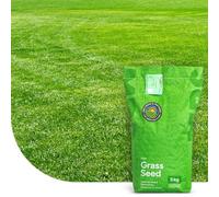 MRS Repair & Restore: Semence Gazon Regarnissage - 1 kg pour 50 m² - Germination rapide - Gazon dense et bien vert - pour pelouses et terrains de sport