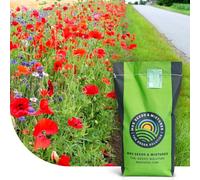MRS Roadside Bloom : Semences de gazon - 2 kg pour 100 m² - Gazon dense et résistant - Bord de route coloré - Tolérant à la sécheresse
