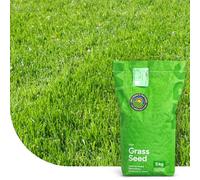 MRS Turbo Green: Semence Gazon Regarnissage - 1 kg - 50 m² - Germination rapide - Gazon dense et bien vert - Grande tolérance au piétinement