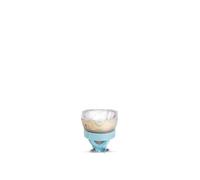 MSD Platinum 21 R 1CT 8 470W 8000K 8718696678268