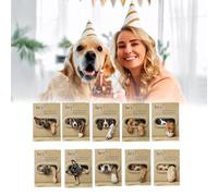 Msioytog Carte d ' anniversaire ludique pour chiot, illustrations de chiens de dessin animé, carte de vœux, invitation à une fête pour les propriétaires d ' animaux de compagnie, anniversaire de vœux