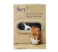 Msioytog Carte d ' anniversaire ludique pour chiot, illustrations de chiens de dessin animé, carte de vœux, invitation à une fête pour les propriétaires d ' animaux de compagnie, anniversaire de vœux