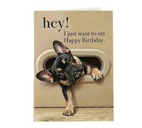 Msioytog Carte d ' anniversaire ludique pour chiot, illustrations de chiens de dessin animé, carte de vœux, invitation à une fête pour les propriétaires d ' animaux de compagnie, anniversaire de vœux