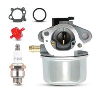 Mtanlo 799868 Carburateur pour 799868 498170 497586 497314 698444 498254 497347,Kit De Remplacement De Carburateur De Moteur avec RJ19LM Bougie d'Allumage Filtre à Essence