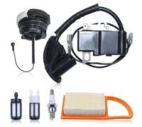 Mtanlo Bobine d'allumage pour Stihl BR600 BR550 BR500 BR700 Souffleur de Feuilles, Remplacement pour 42824001310, Bobine d'allumage avce Filtre a Essence Bougie d'allumage