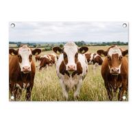 MuchoWow© Décoration Jardin 60x40 cm Bâche Décorative Posters Décoratifs Decoration Balcon Affiche Extérieur Déco Appartement Deco Exterieur Vaches - Portrait - Pré - Ferme - Curieux
