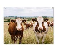 MuchoWow© Décoration Jardin 80x60 cm Bâche Décorative Posters Décoratifs Decoration Balcon Affiche Extérieur Déco Appartement Deco Exterieur Vaches - Portrait - Pré - Ferme - Curieux