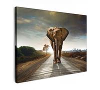 MuchoWow© Impression sur Toile Photo Peinture 40x30 cm Tableau Decoration Murale Chambre Salon Maison Deco Cuisine Eléphant - Route - Animaux - Coucher de soleil - Paysage