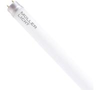 Müller-Licht Tubes LED CEE: C (A - G) G13 forme de tube T8 21.8 W blanc neutre (Ø x L) 28 mm x 1500 mm 1 pc(s)