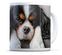 Mug Cavalier King Charles Spaniel - Tasse de cuisine pour anniversaire, bureau, chien, chiot mignon #12388