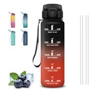 Mujigaga Gourde- 1l- Gourde Sport, Anti-Fuite, Gourdes Paille, Marqueur de Temps, Gourdes Graduée, Verrou de Sécurité, Bouteille en Plastique, Bouteille d'eau pour Randonnée, Plage, Musculation