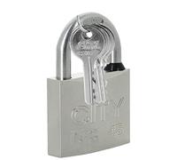 Mulliez et Flory Cadenas à clé Rectangulaire Argenté Usage général Déverrouillage Inox, Nickele 3 clés varie