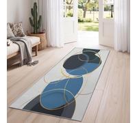 Multicolore Tapis Salon 80 x 150 cm - Doux Poil Ras Antidérapant Tapis avec Moderne Géométrique Cercles Blocs Couleur, Abstrait Lavable en Machine Grand Tapis pour Entrée Chambre Buanderie Passage