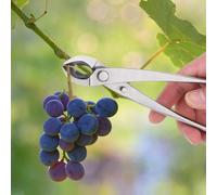 Multifonctions en acier inoxydable Cutter de branches Cutter de jardin Ciseaux de taille Bonsai -Outils