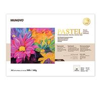 MUNGYO Lot de 30 feuilles de papier pastel professionnel A4 pour pastels à l'huile, pastel sec (blanc)