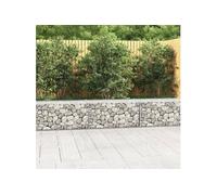vidaXL Mur en gabion Acier galvanisé 300x50x50 cm