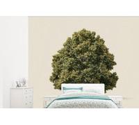 Mur photo en bois de chêne vert - Largeur 375 cm x Hauteur 300 cm