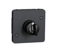 Schneider Electric - Interrupteur à clé Mureva Styl MUR35061 3 positions composable IP55 IK08 gris