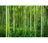 Muralo Papier Peint Auto-adhésif Forêt Nature Bambou Tropiques - 450x300 cm | Revêtement mural panoramique, pose facile, motif haute définition - esprit nature pour salon ou chambre