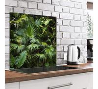 murando Crédence Cuisine en Verre Trempé - Plaque Anti-Projection 60x60 cm | 4 mm, Anti-Éclaboussures, Résiste à la Chaleur, Facile à Nettoyer, Déco Moderne, Plantes Monstera Jungle Feuilles Vertes