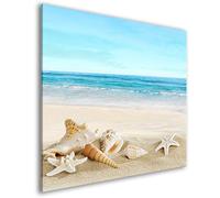 murando - Crédence verre cuisine 60x60 cm - Plaque anti-projection - Couvercle anti-éclaboussures crédence - Plaque en verre trempé - Paysage de mer et de plage Coquillages c-B-0528-aq-a