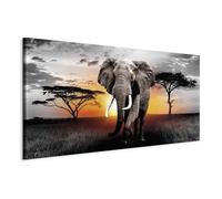 murando - Grand Tableau Animal 200x100 cm - Impression sur Toile XXL Format Tableau Panoramique Moderne Géant Décoration Horizontal Murale Chambre - Animaux g-C-0054-ak-g