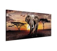 murando - Grand Tableau Animal 250x125 cm - Impression sur Toile XXL Format Tableau Panoramique Moderne Géant Décoration Horizontal Murale Chambre - Animaux g-C-0054-ak-f